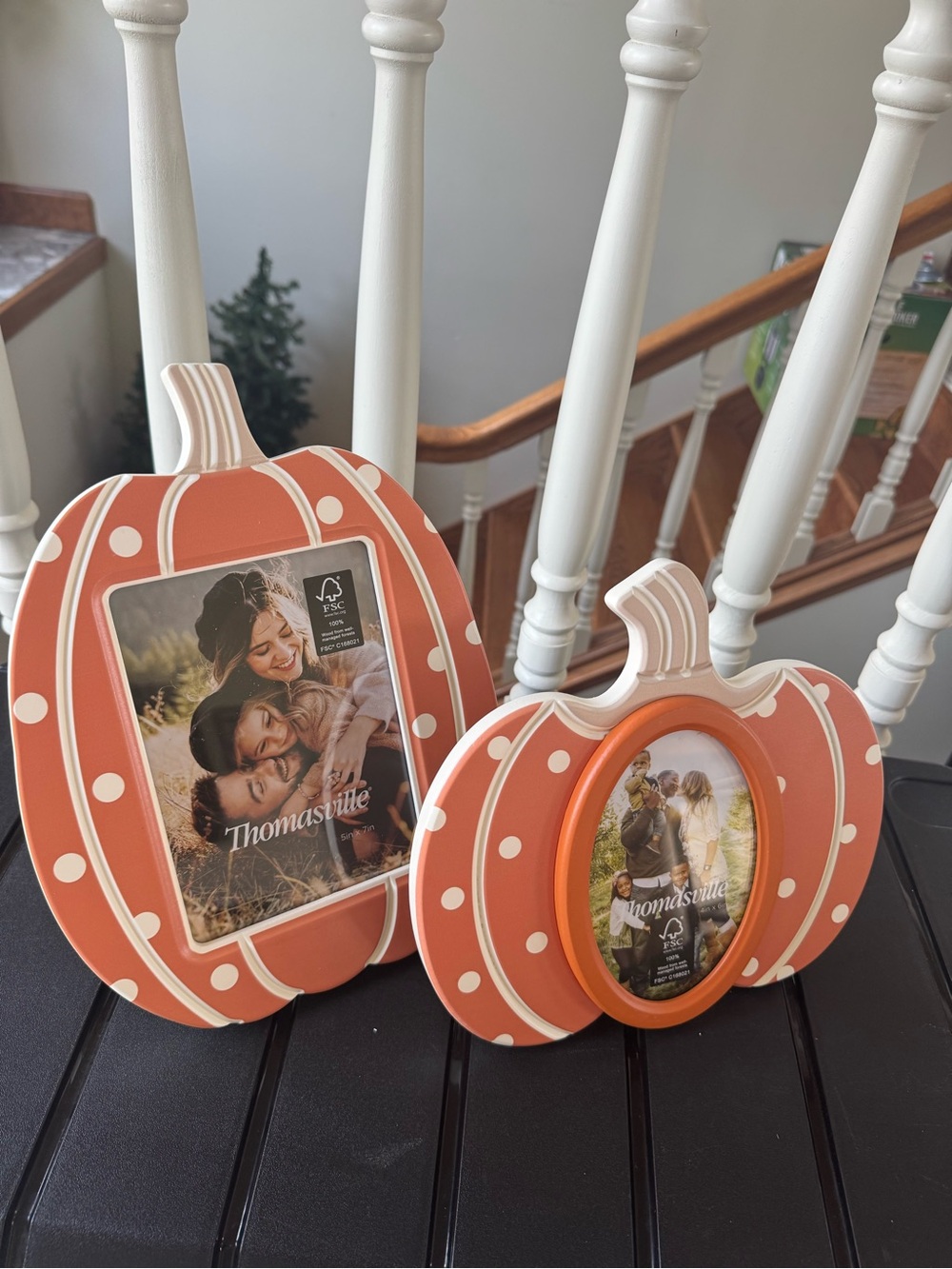 THOMASVILLE FALL ORANGE POLKA DOT PICTURE FRAMES SET 2 NEW
